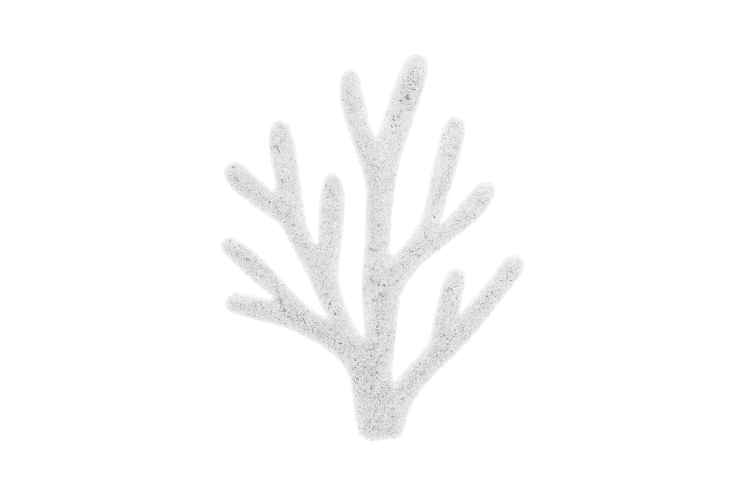 Coral illustration
